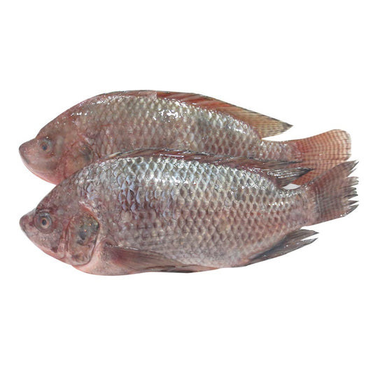 Mojarra Mediana - Libra