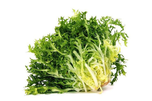 Lechuga Frisse